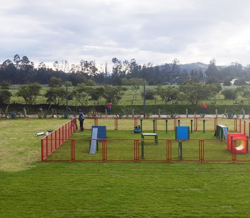 parques_caninos