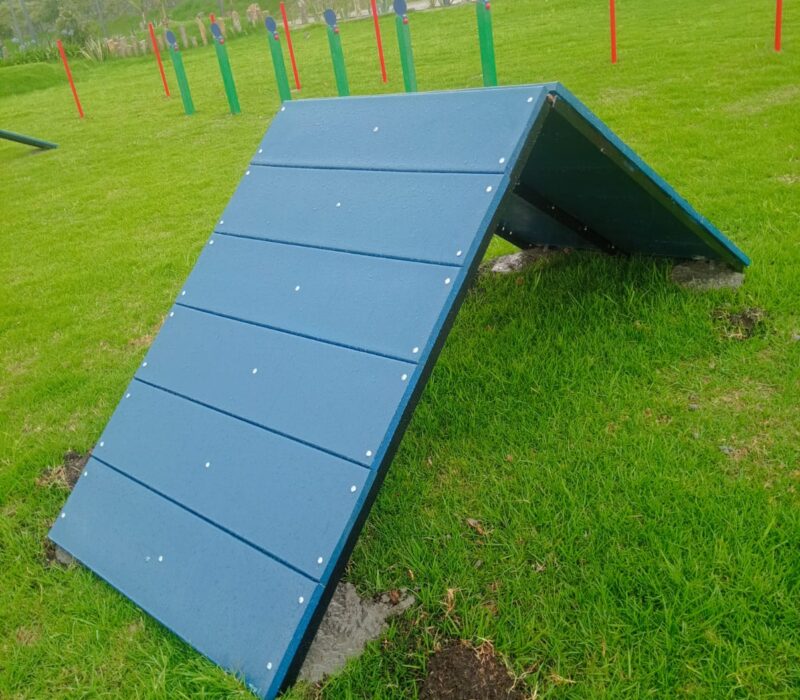 parques_caninos_2