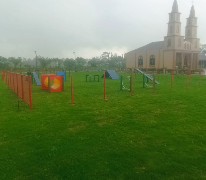 parques_caninos_4