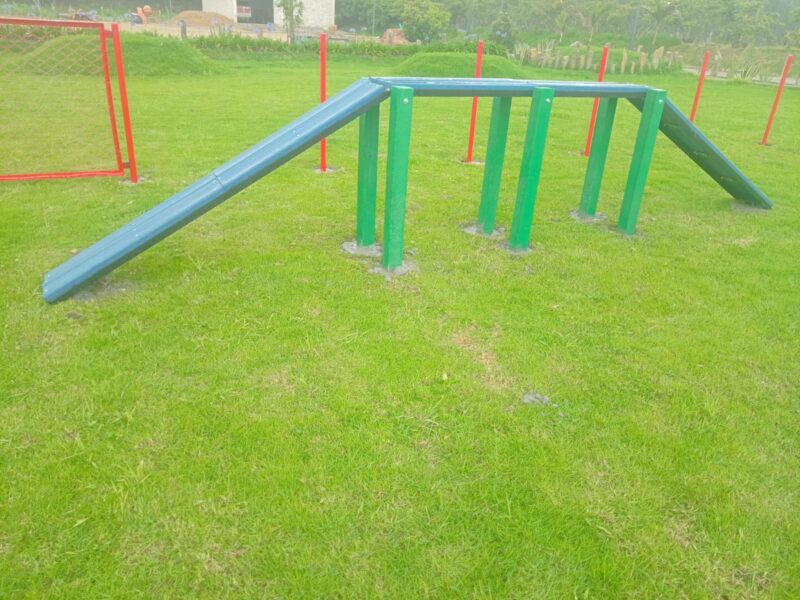 parques_caninos_8